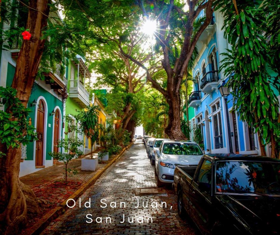 Bee Inn Puerto Rico Charming Urban Apartment In San Juan Exterior foto