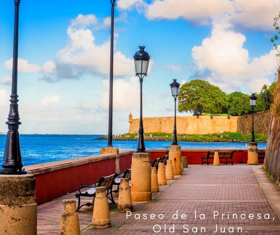 Bee Inn Puerto Rico Charming Urban Apartment In San Juan Exterior foto